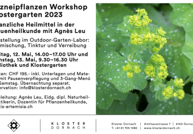 Arzneipflanzen Workshop Klostergarten 2023